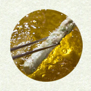 揚げる-アスパラガス