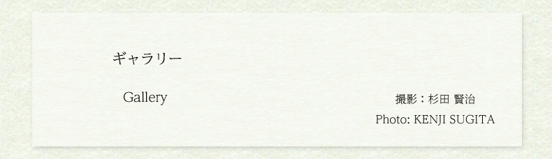 ギャラリー　Gallery
