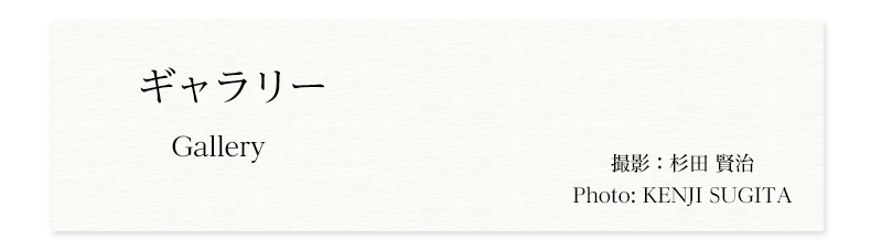 ギャラリー　Gallery